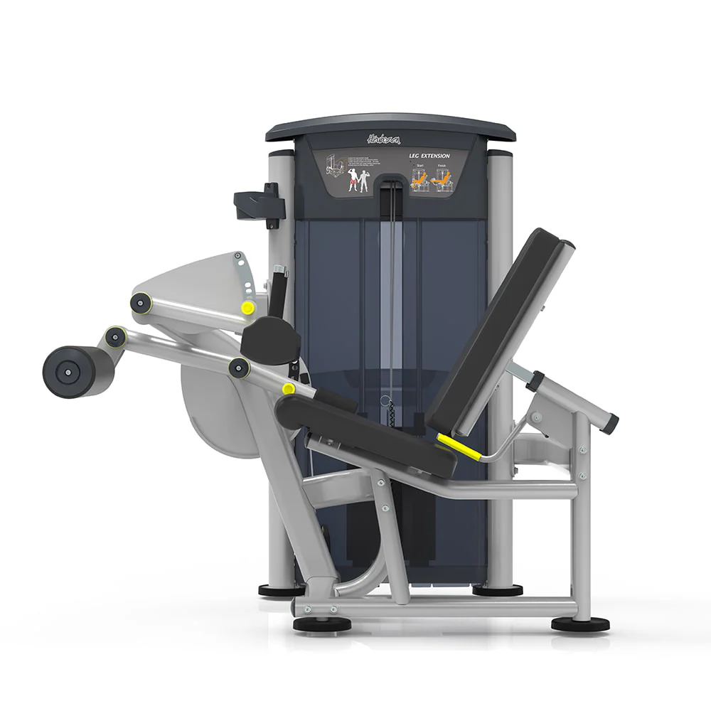 Machine Ischio Jambiers - Image 4