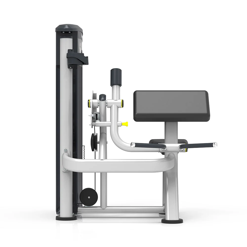 Poste Biceps - Image 4